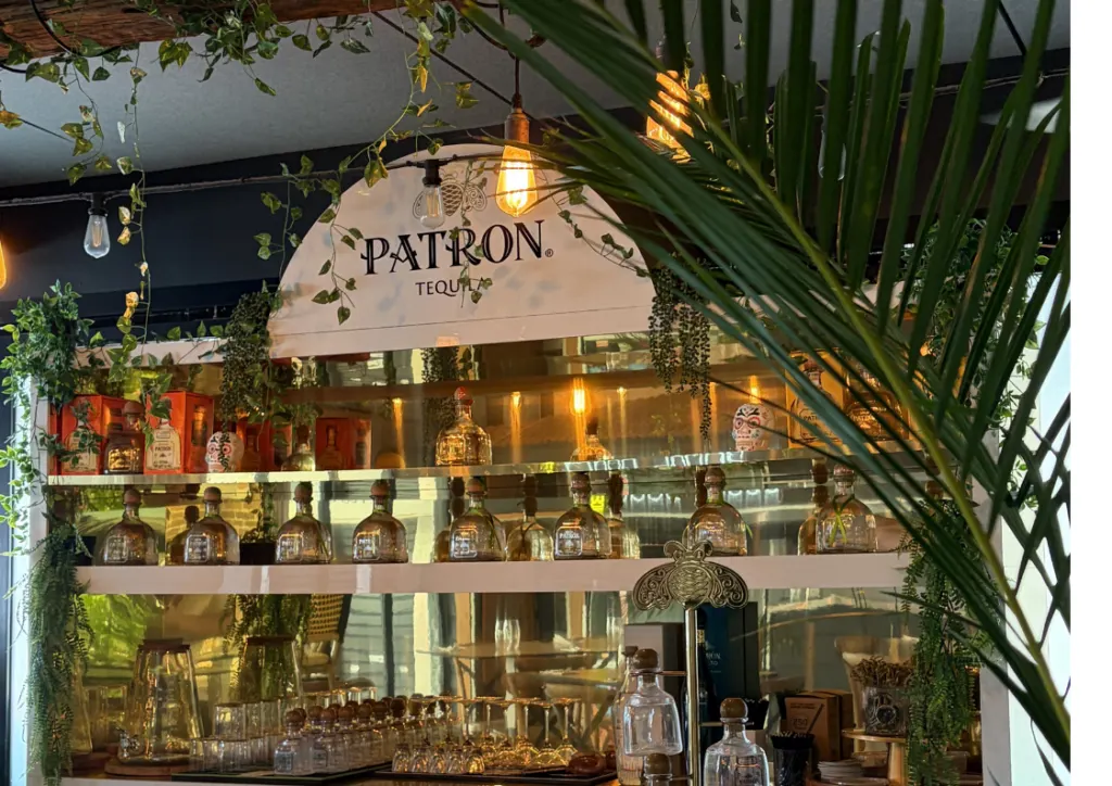 Patrón logo